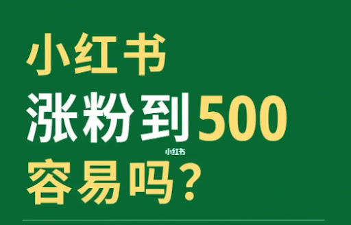 小红书粉丝购买|起号必备‼️小红书快速涨粉攻略