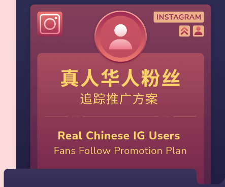 Instagram刷粉丝100％真实和便宜的粉丝