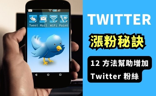 你还在为粉丝数发愁吗？试试Twitter刷粉！