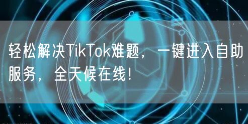 轻松解决TikTok难题，一键进入自助服务，全天候在线！