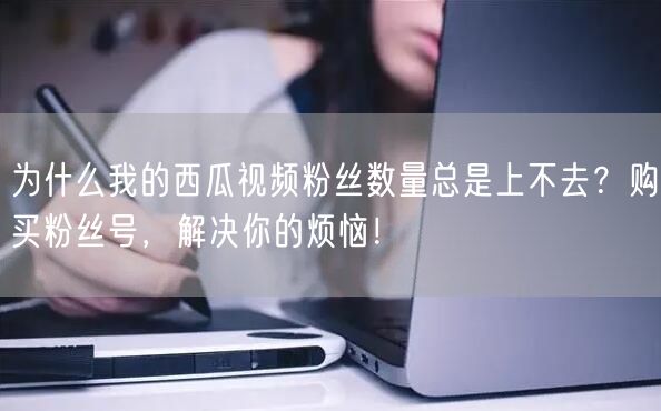 为什么我的西瓜视频粉丝数量总是上不去？购买粉丝号，解决你的烦恼！