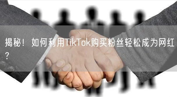 揭秘！如何利用TikTok购买粉丝轻松成为网红？