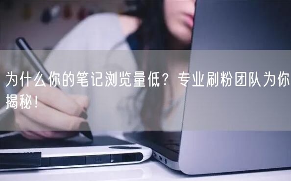 为什么你的笔记浏览量低？专业刷粉团队为你揭秘！