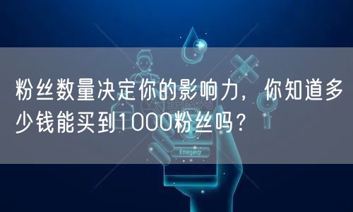 粉丝数量决定你的影响力，你知道多少钱能买到1000粉丝吗？