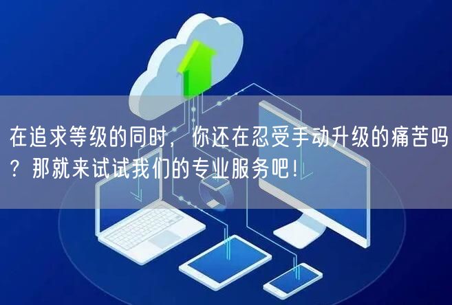 在追求等级的同时，你还在忍受手动升级的痛苦吗？那就来试试我们的专业服务吧！