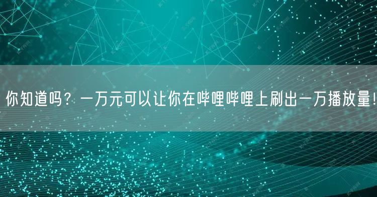 你知道吗？一万元可以让你在哔哩哔哩上刷出一万播放量！