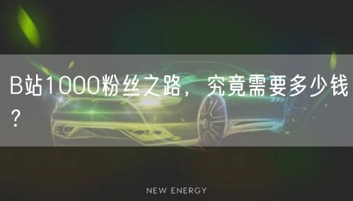 B站1000粉丝之路，究竟需要多少钱？