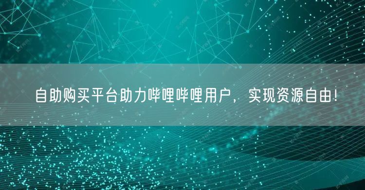 自助购买平台助力哔哩哔哩用户，实现资源自由！