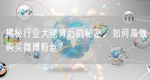 揭秘行业大佬背后的秘密：如何高效购买微博粉丝？