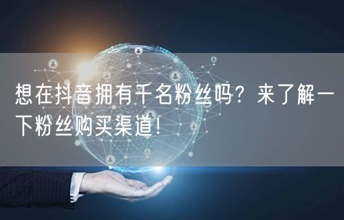 想在抖音拥有千名粉丝吗？来了解一下粉丝购买渠道！