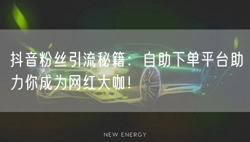 抖音粉丝引流秘籍：自助下单平台助力你成为网红大咖！