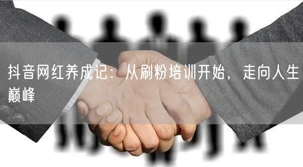 抖音网红养成记：从刷粉培训开始，走向人生巅峰