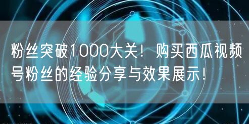 粉丝突破1000大关！购买西瓜视频号粉丝的经验分享与效果展示！