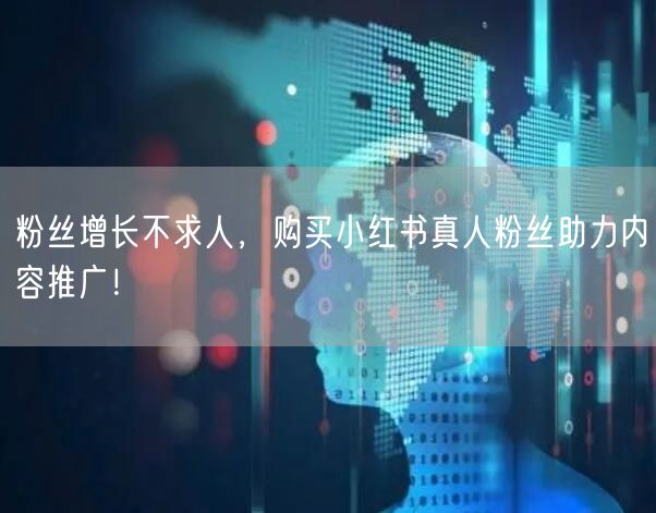 粉丝增长不求人，购买小红书真人粉丝助力内容推广！